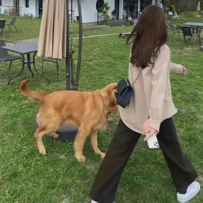 杜宾专员:粉红之死